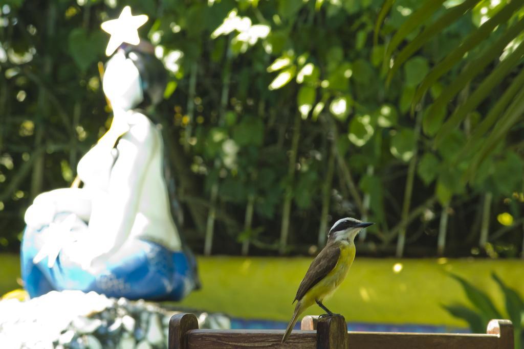 Art Hotel Aos Sinos Dos Anjos Porto Seguro Bagian luar foto